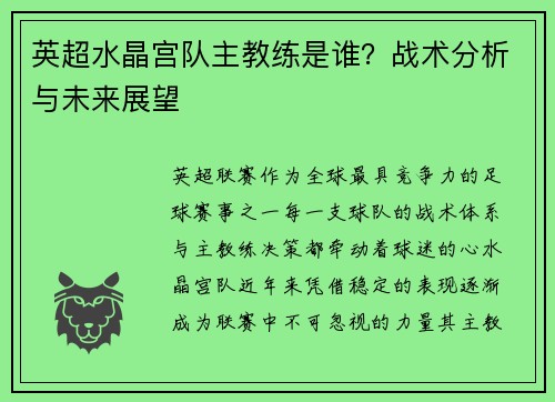 英超水晶宫队主教练是谁？战术分析与未来展望